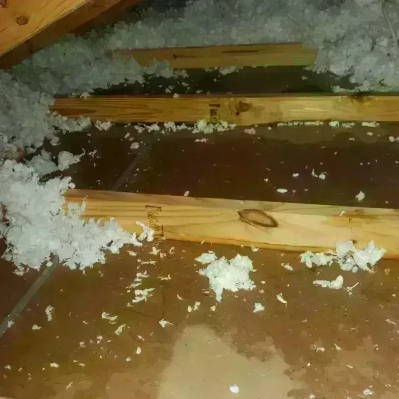 Attic Water Damage in Jefferson County, OK