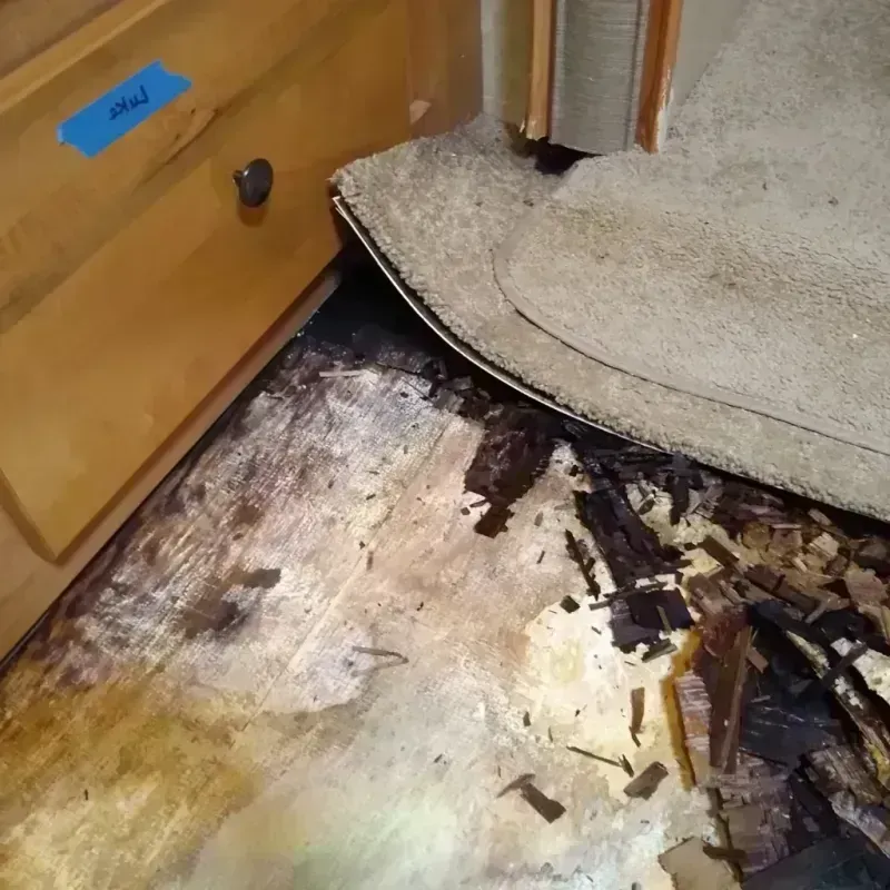 Wood Floor Water Damage in Jefferson County, OK